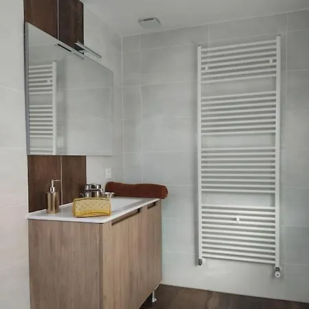 Maison Avec Piscine, Boulodrome Dans Les Pyrenees Tatil Evi *